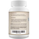 sunergetic-premium-berberine-supplement--3.jpg