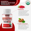 organic-berberine-with-ceylon-cinnamon-2-3.jpg