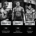 testosterone-supplement-for-men-for-musc-4.jpg