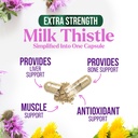 milk-thistle-extract-liver-cleanse-detox-3.jpg