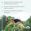bark-whiskers-organic-vitamin-b-complex--5.jpg