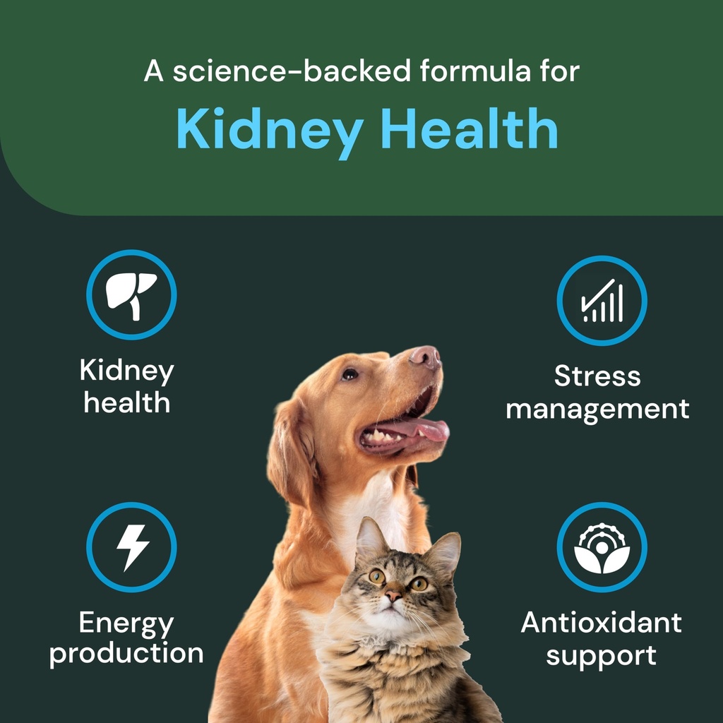 vetriscience-veterinary-strength-kidney--4.jpg