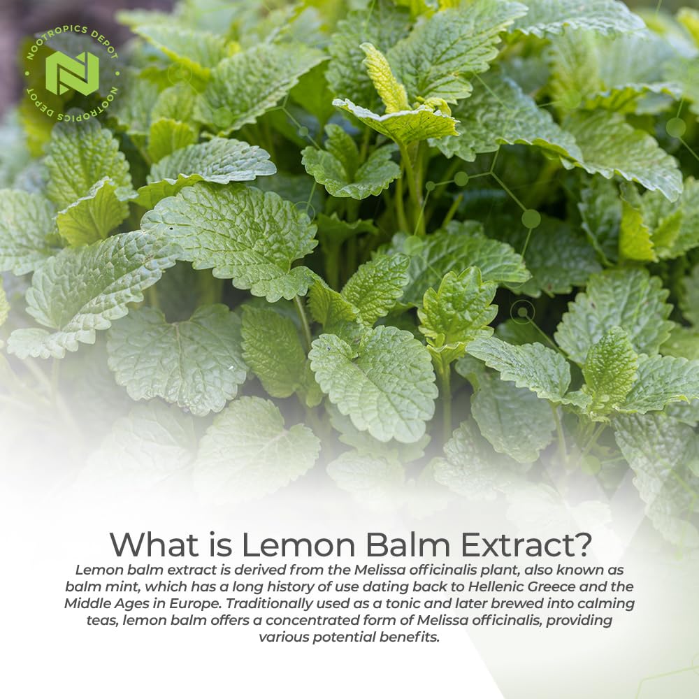 nootropics-depot-lemon-balm-extract-tabl-3.jpg