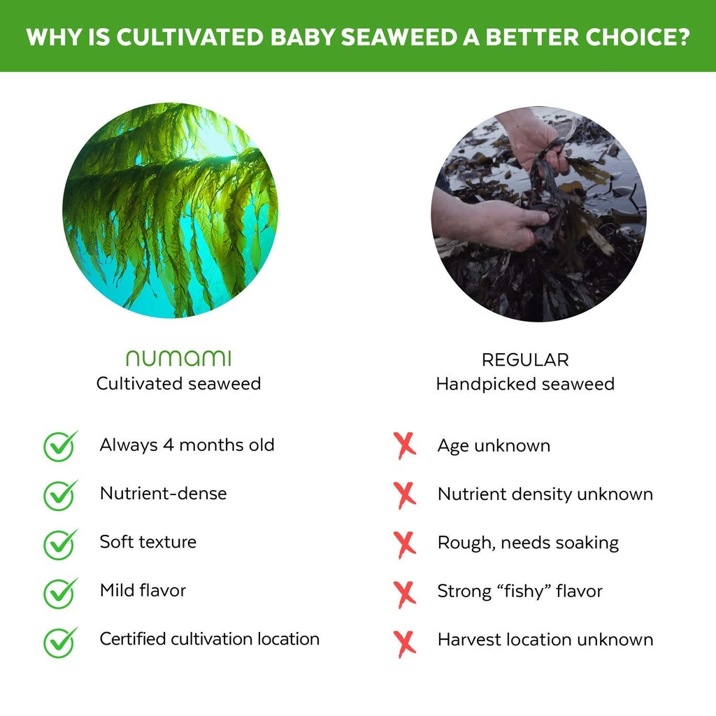 barley-grass-juice-powder-and-atlantic-d-5.jpg