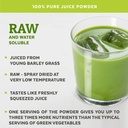 barley-grass-juice-powder-and-atlantic-d-6.jpg