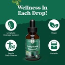 organic-lymphatic-support-drainage-drops-6.jpg