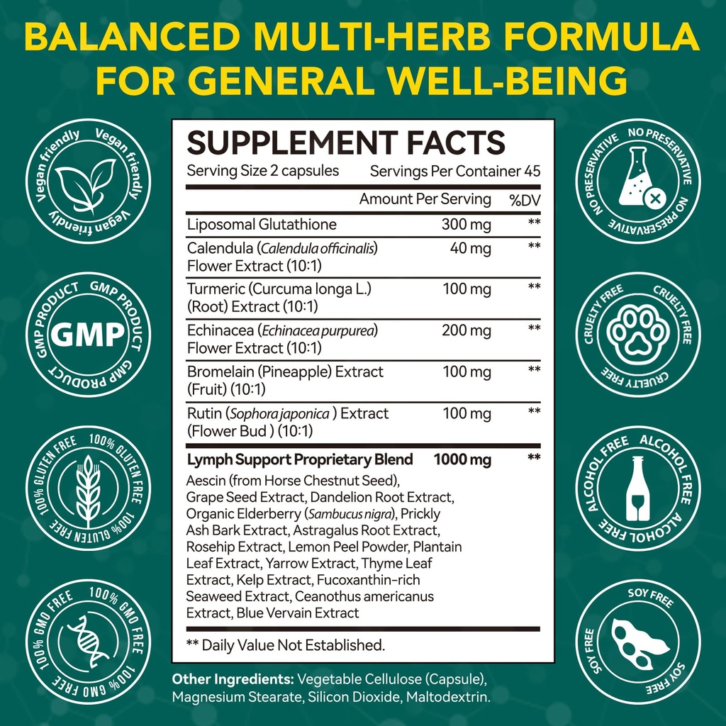 lymphatic-drainage-supplements-lymphatic-6.jpg