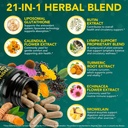 lymphatic-drainage-supplements-lymphatic-5.jpg