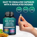 sea-moss-advanced---sea-moss-3000mg-blac-5.jpg