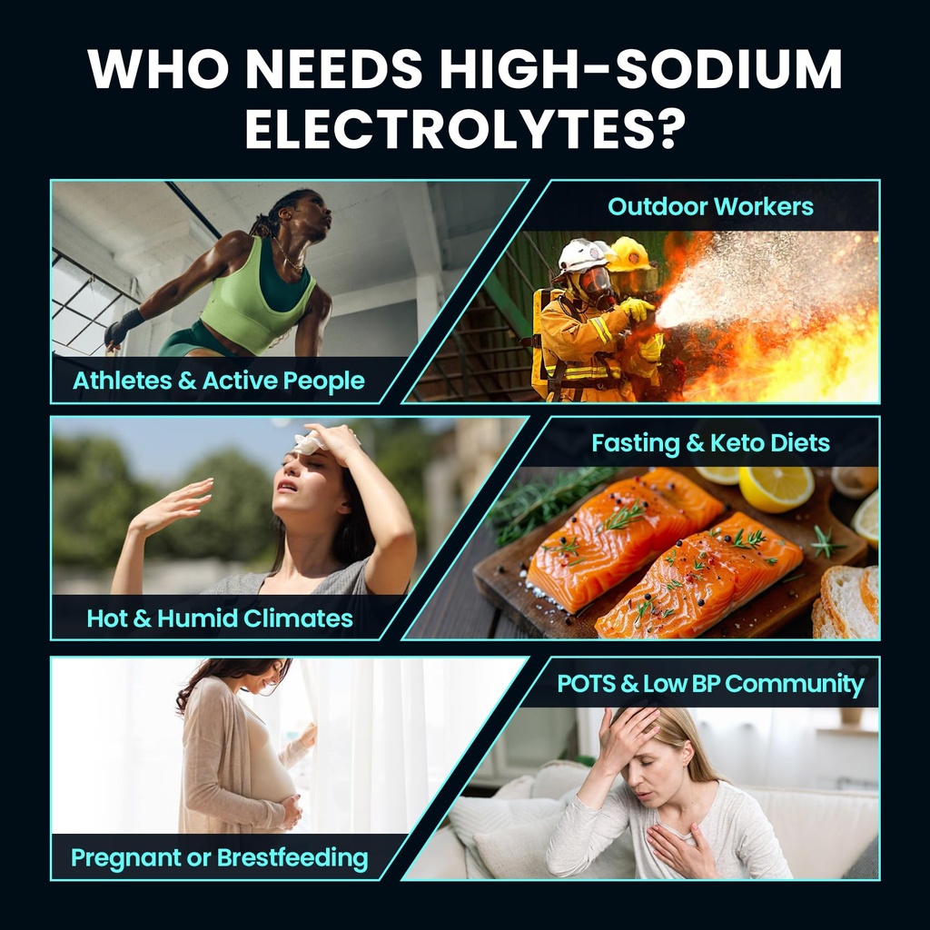 venture-pal-high-sodium-sugar-free-elect-5.jpg