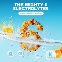 electrolyte-powder-drink-mix-rapid-hydra-4.jpg