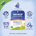 boiron-arnica-montana-30x-homeopathic-me-3.jpg