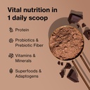 shakeology-0g-added-sugar-whey-protein-p-3.jpg