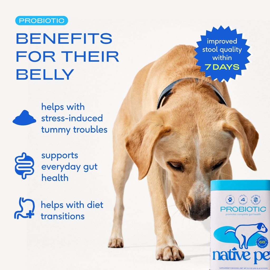 native-pet-digestive-wellness-boost-bund-4.jpg