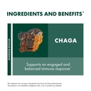 host-defense-chaga-extract-immune-system-6.jpg