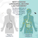 liposomal-bovine-lactoferrin-1000-mg-hig-2.jpg