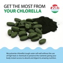 sun-chlorella-500mg-whole-body-wellness--5.jpg