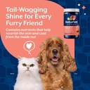 naturvet-omega-gold-plus-salmon-oil-supp-4.jpg