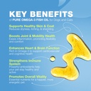 fish-oil-for-dogs-and-cats-skin-and-coat-3.jpg