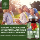 berberine-hcl-supplement-1200mg-pure-ber-4.jpg