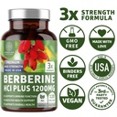 berberine-hcl-supplement-1200mg-pure-ber-6.jpg