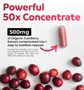 organic-cranberry-pills-vegan-supplement-2.jpg