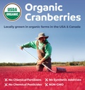 organic-cranberry-pills-vegan-supplement-4.jpg