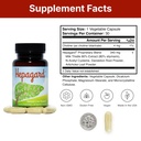 hepagard-natural-liver-support-supplemen-6.jpg