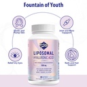 liposomal-hyaluronic-acid-supplements-10-4.jpg