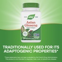 nature-s-way-asian-ginseng-fights-fatigu-4.jpg