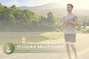 pure-original-ingredients-shiitake-mushr-5.jpg
