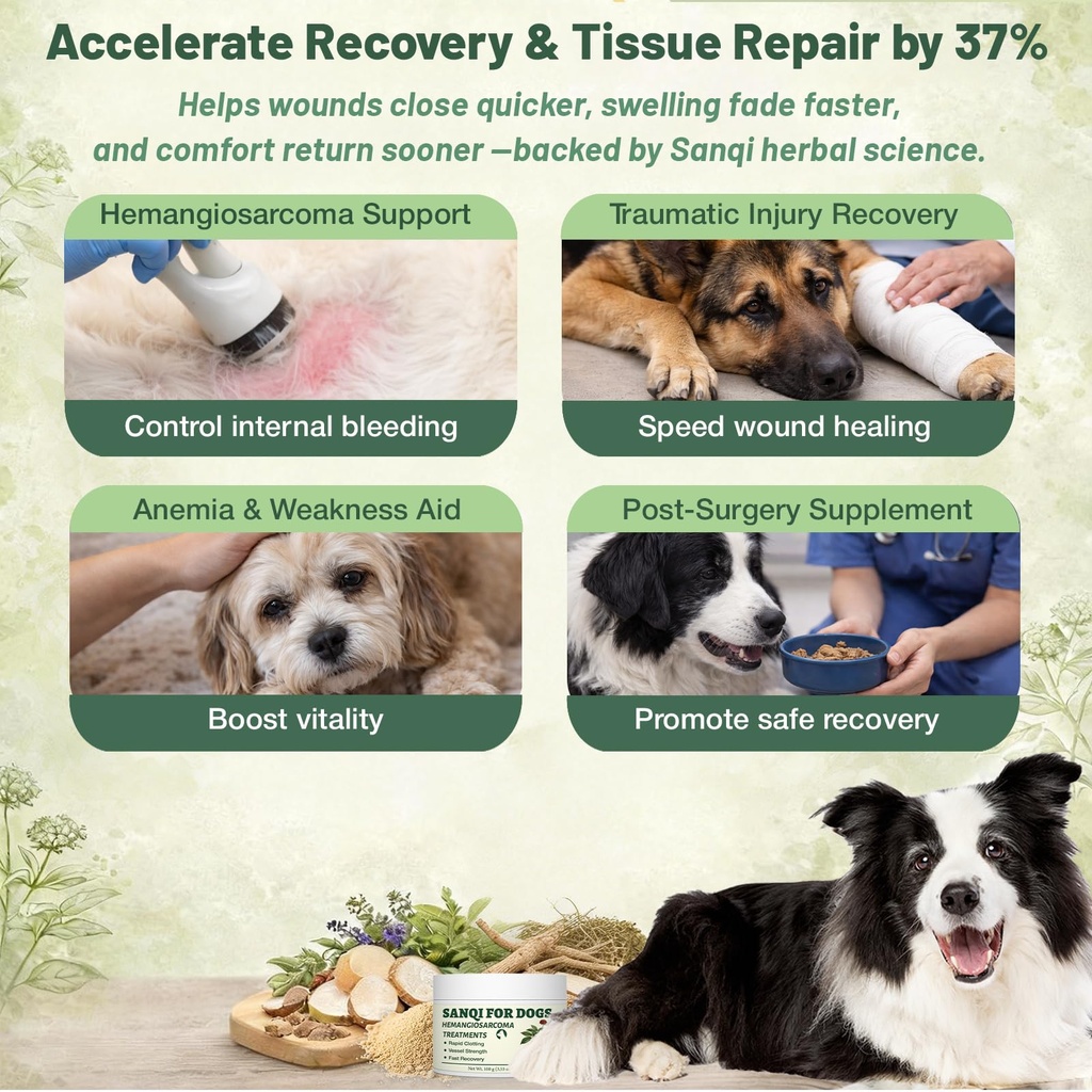 sanqi-powder-for-dogs-natural-herbal-qui-4.jpg