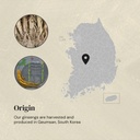 gumiho-ginseng-powder-korean-panax-ginse-6.jpg