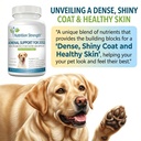adrenal-support-for-dogs-support-for-dog-3.jpg
