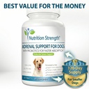 adrenal-support-for-dogs-support-for-dog-4.jpg