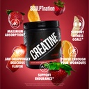 sculpt-nation-by-v-shred-creatine-premiu-2.jpg