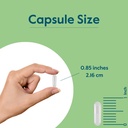bestvite-vitamin-b-2-riboflavin-400mg-12-4.jpg
