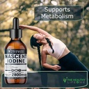 nascent-iodine-supplement-2800mcg-potass-3.jpg