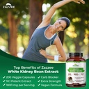 zazzee-white-kidney-bean-10-1-extract-18-3.jpg