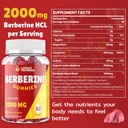 2000mg-berberine-supplement-gummies-high-3.jpg