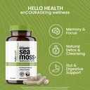 hello-health-irish-sea-moss-capsules-wil-5.jpg