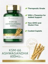 carlyle-ksm-66-ashwagandha-root-extract--4.jpg