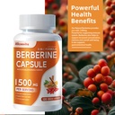 allcoovita-berberine-supplement-berberin-5.jpg