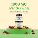 american-standard-supplements-berberine--3.jpg