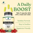 american-standard-supplements-berberine--4.jpg