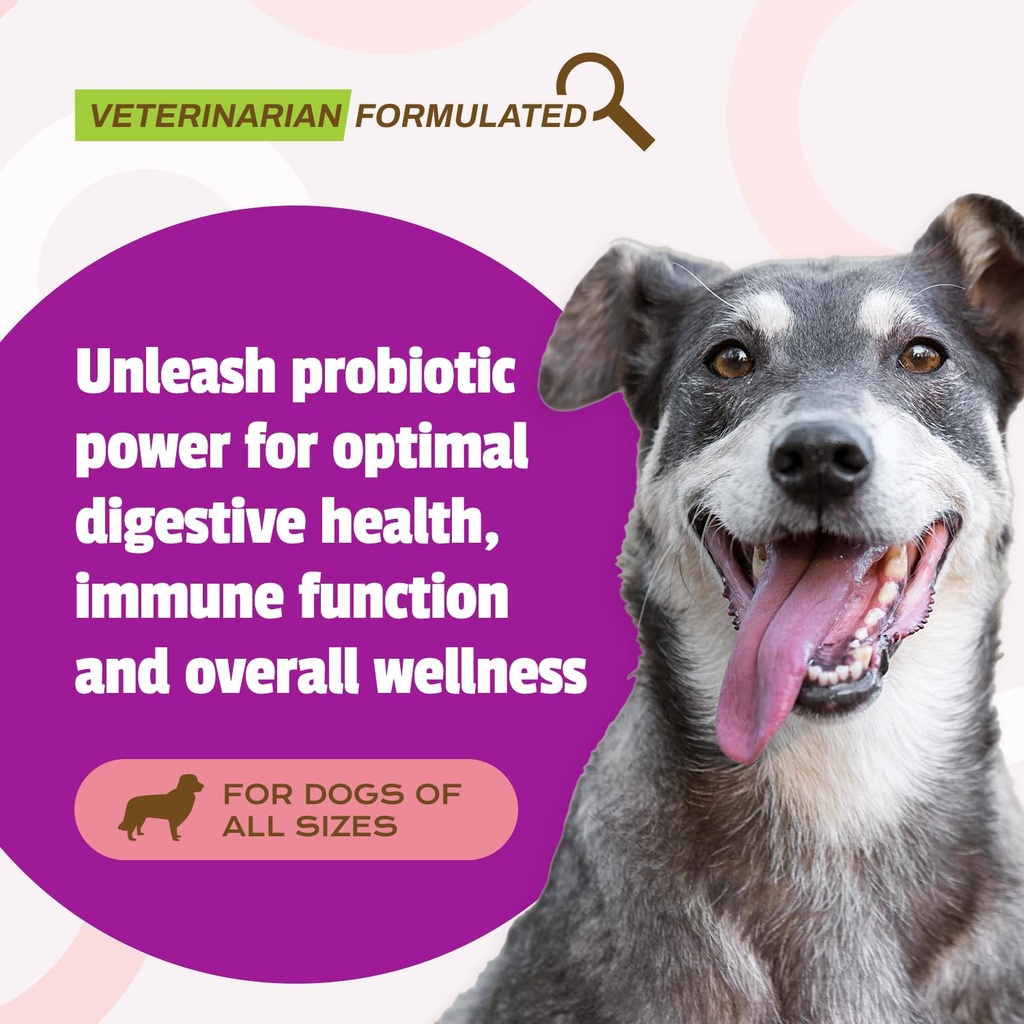pet-naturals-daily-probiotic-for-dogs-du-2.jpg
