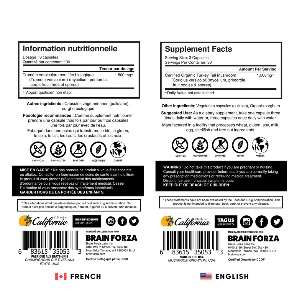 brain-forza-organic-turkey-tail-mushroom-5.jpg