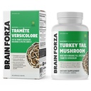 brain-forza-organic-turkey-tail-mushroom-4.jpg