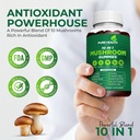 11-in-one-mushroom-complex-gummies-10x-m-4.jpg