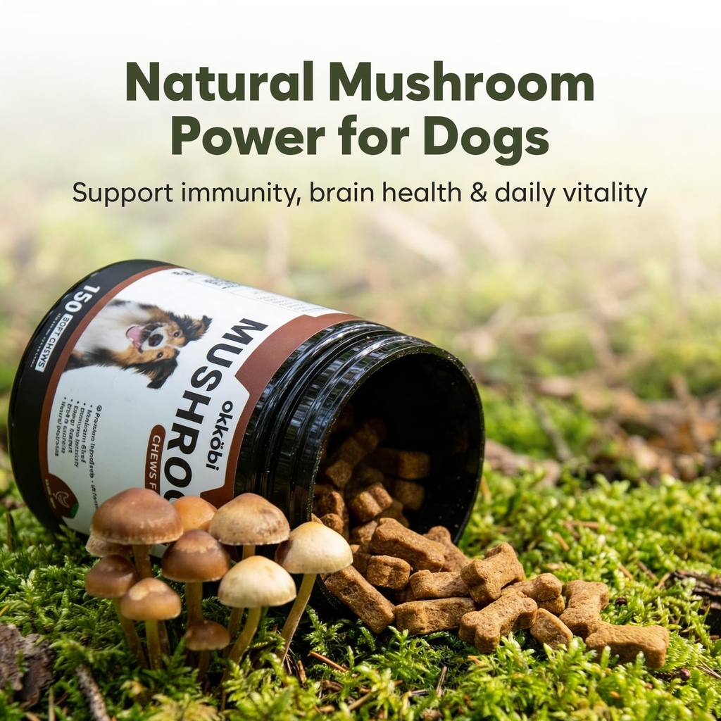 premium-mushroom-chews-for-dogs-5-in-1-t-2.jpg